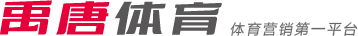 热刺成本赛